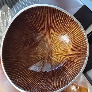 Simplydesignz Organic Collection 5" Nut Bowls Set Of 3 💥NIB💥 Perfect!